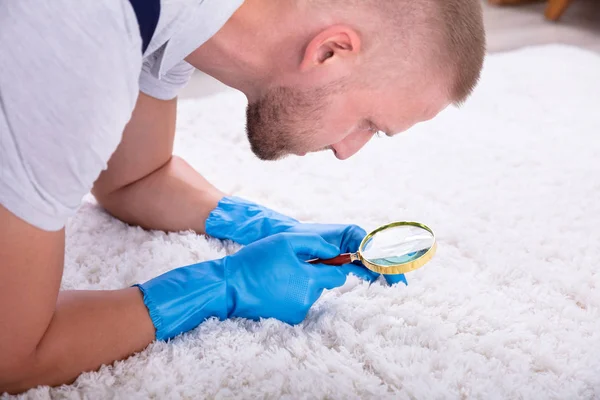 Stain and Spot Removal