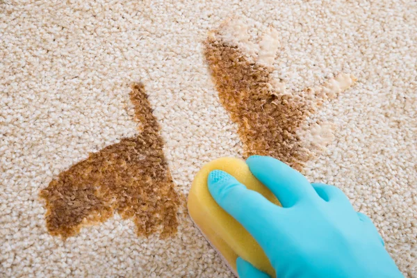 Carpet Protection Service